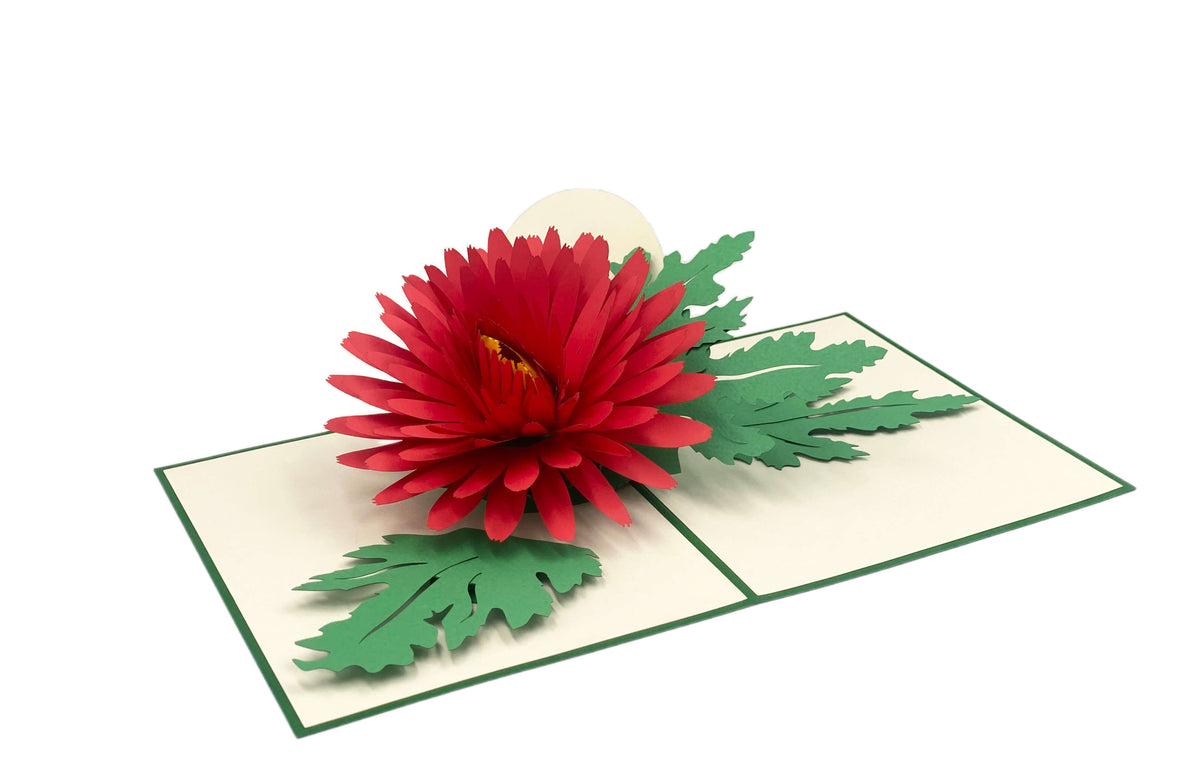 Aufgeklappte Pop-up-Karte mit grünem Rand und einer großen roten Chrysanthemenblüte mit grünen Blättern.