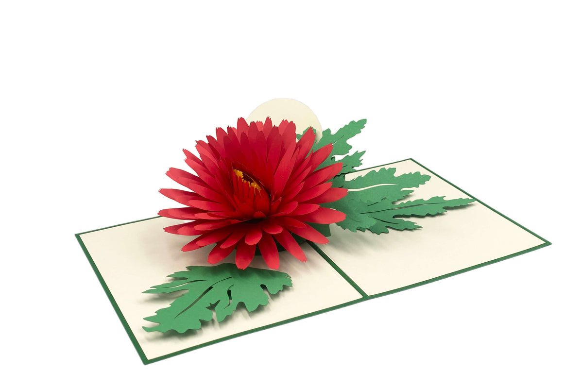 Aufgeklappte Pop-up-Karte mit grünem Rand und einer großen roten Chrysanthemenblüte mit grünen Blättern.