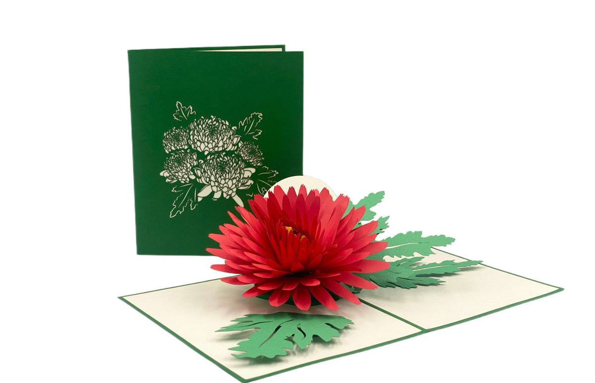 Aufgeklappte Pop-up-Karte mit roter Chrysantheme, daneben die grüne Kartenvorderseite mit Blüten-Scherenschnitt.