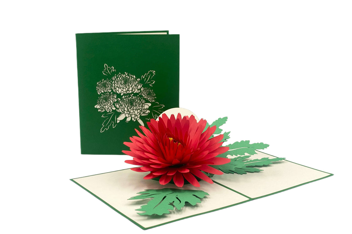 Aufgeklappte Pop-up-Karte mit roter Chrysantheme, daneben die grüne Kartenvorderseite mit Blüten-Scherenschnitt.