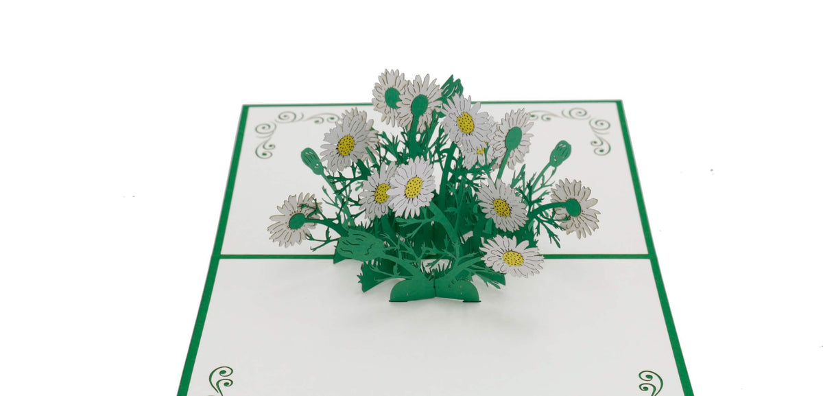 Aufgeklappte Pop-up-Karte mit weißen Gänseblümchen aus Papier, schräg von der Seite fotografiert.