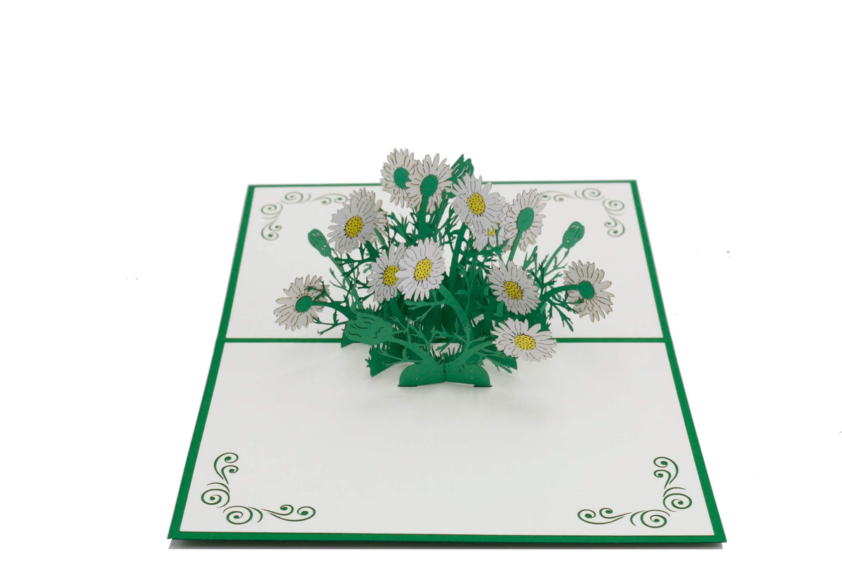 Aufgeklappte Pop-up-Karte mit weißen Gänseblümchen aus Papier, schräg von der Seite fotografiert.
