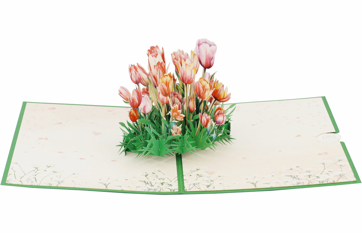 Aufgeklappte Pop-up-Karte mit buntem Tulpenstrauß, schräg von der Seite fotografiert.