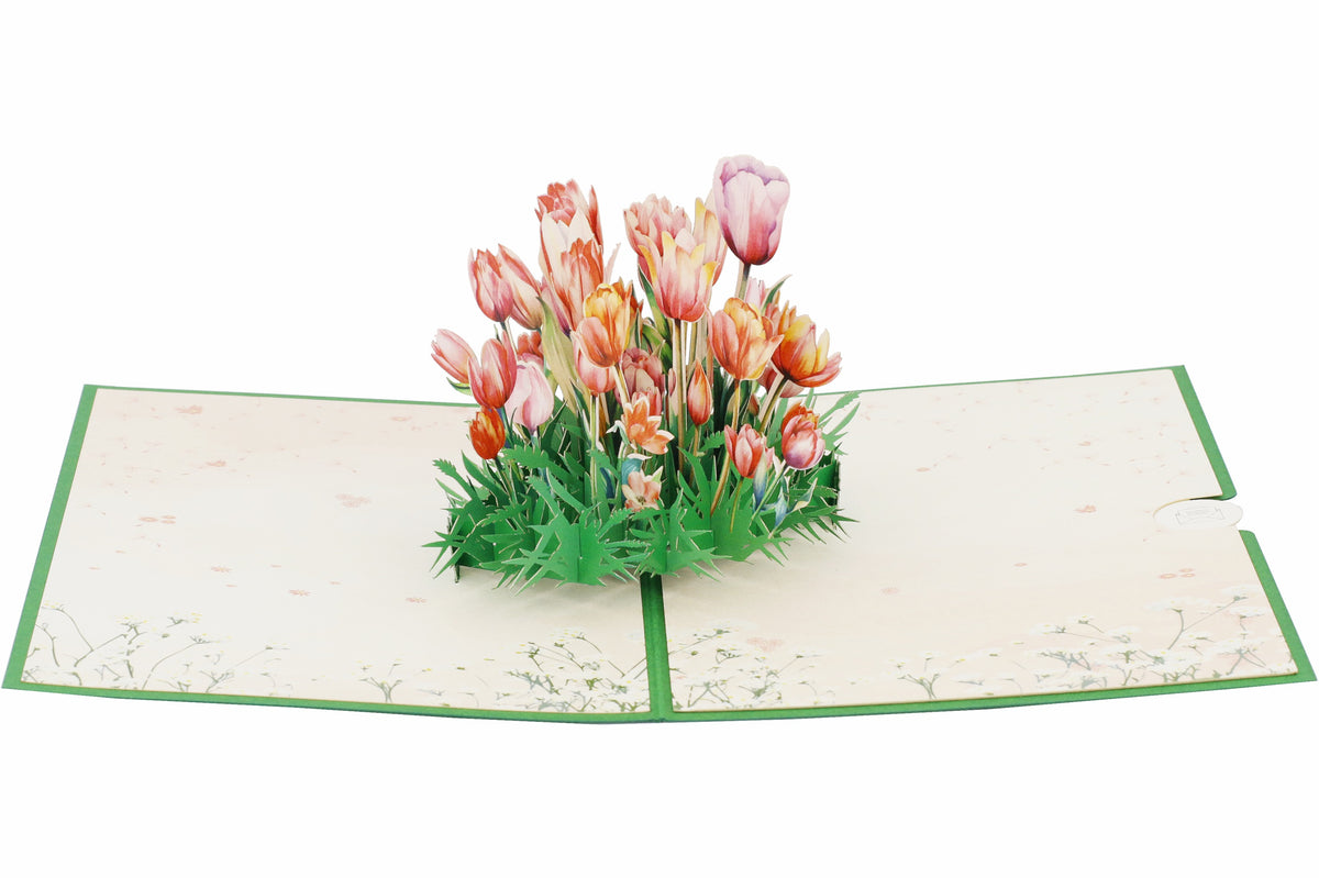 Aufgeklappte Pop-up-Karte mit buntem Tulpenstrauß, schräg von der Seite fotografiert.