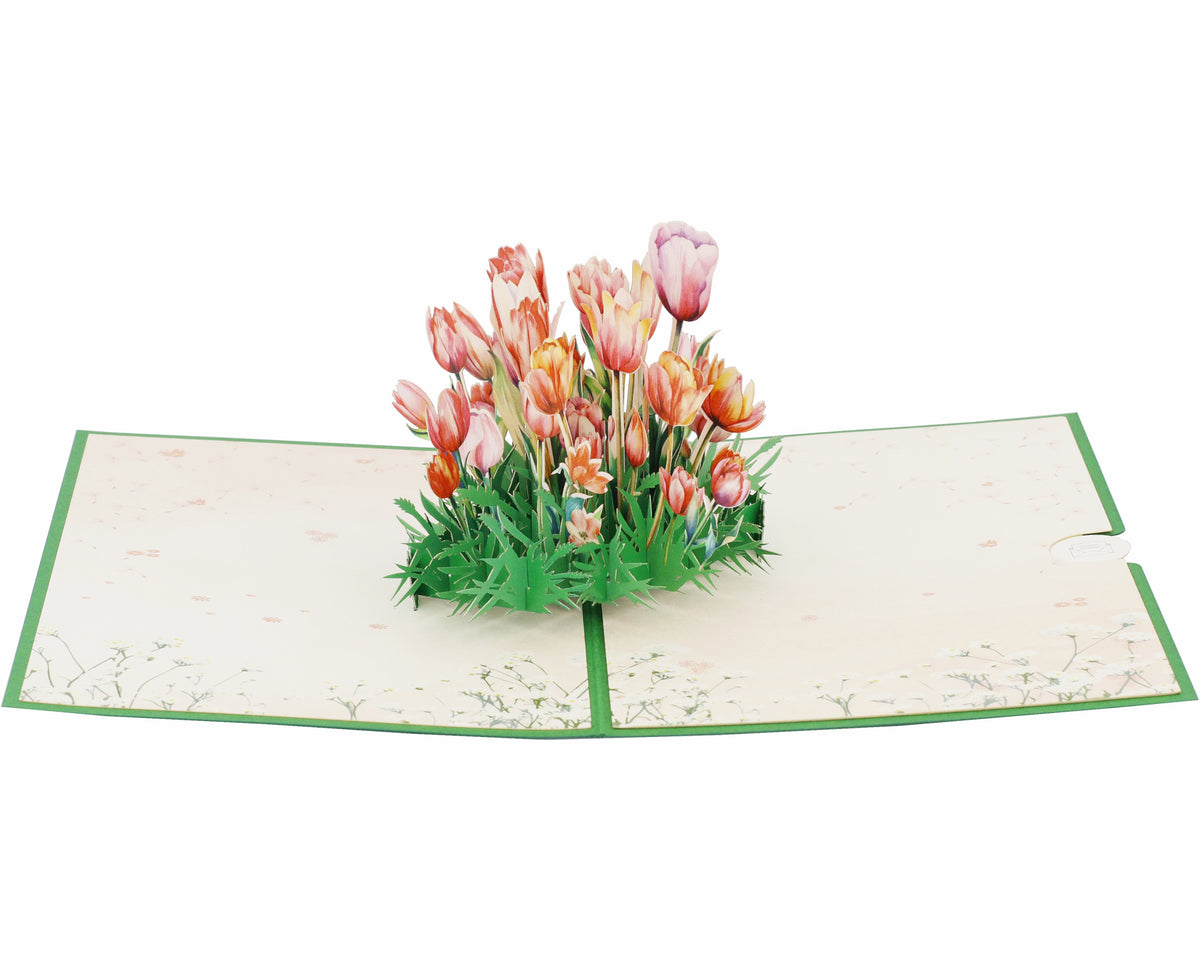 Aufgeklappte Pop-up-Karte mit buntem Tulpenstrauß, schräg von der Seite fotografiert.
