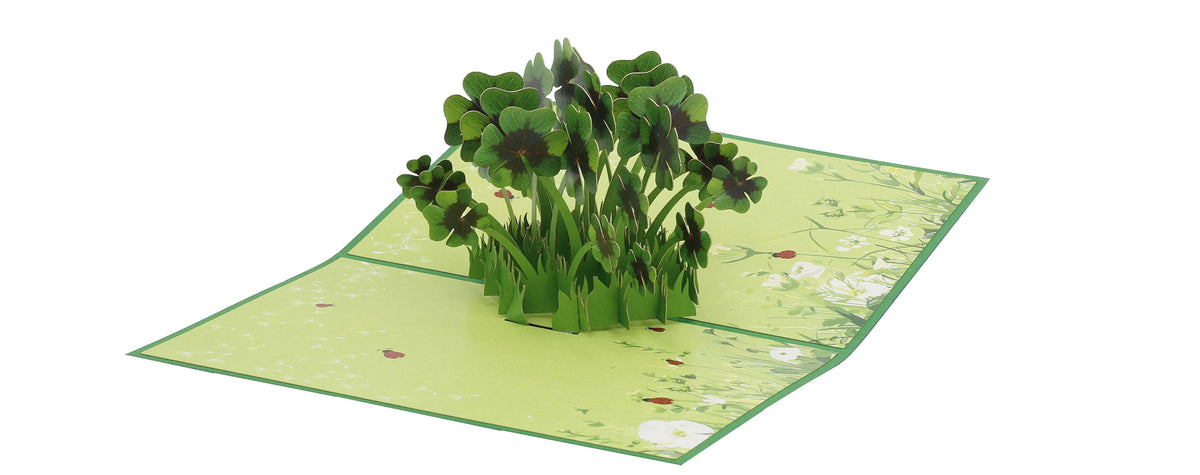 Aufgeklappte grüne Pop-up-Karte mit einem Büschel vierblättriger Kleeblätter auf einer Wiese mit Marienkäfern.