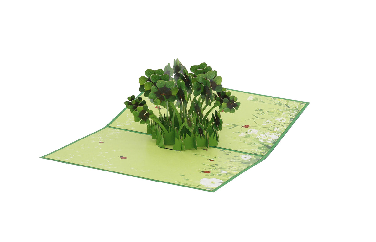 Aufgeklappte grüne Pop-up-Karte mit einem Büschel vierblättriger Kleeblätter auf einer Wiese mit Marienkäfern.