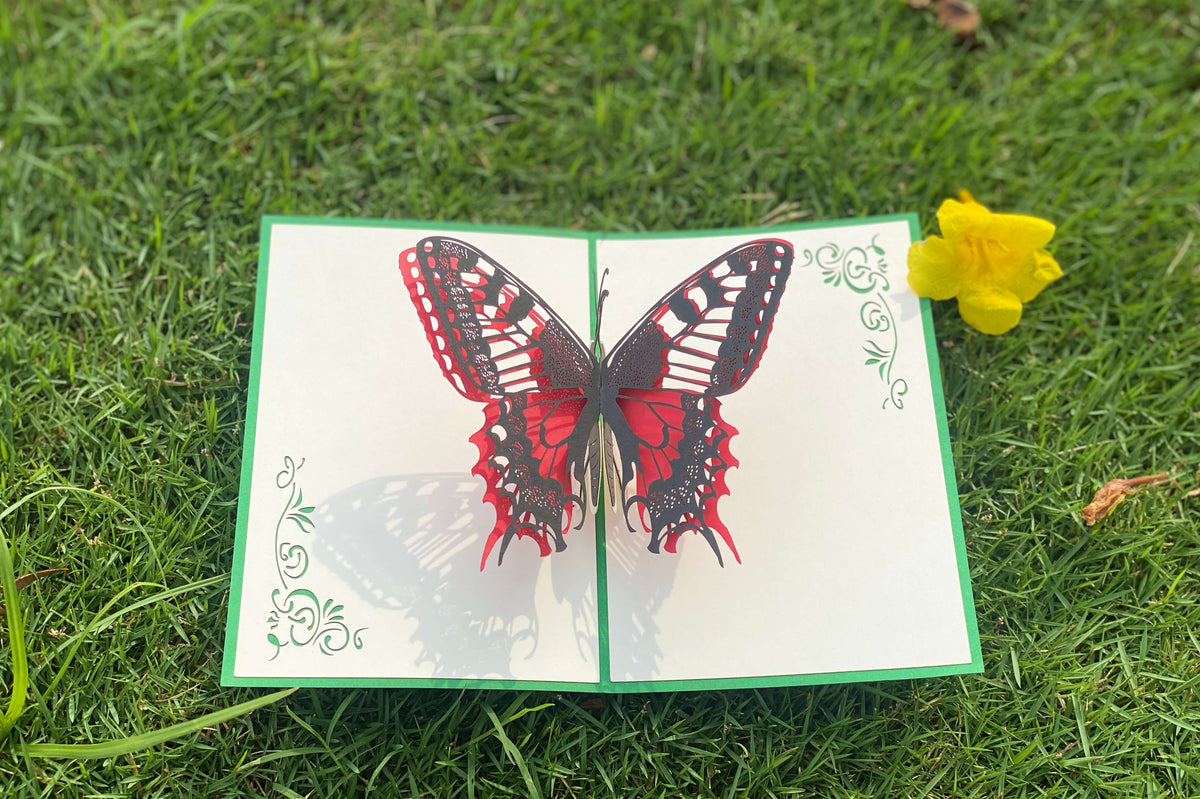 Pop up karte mit rot und schwarzem Schmetterling auf einer grünen Wiese