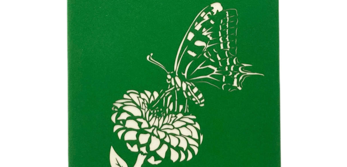 gruene pop up karte mit Schmetterling der auf einer bluete landet
