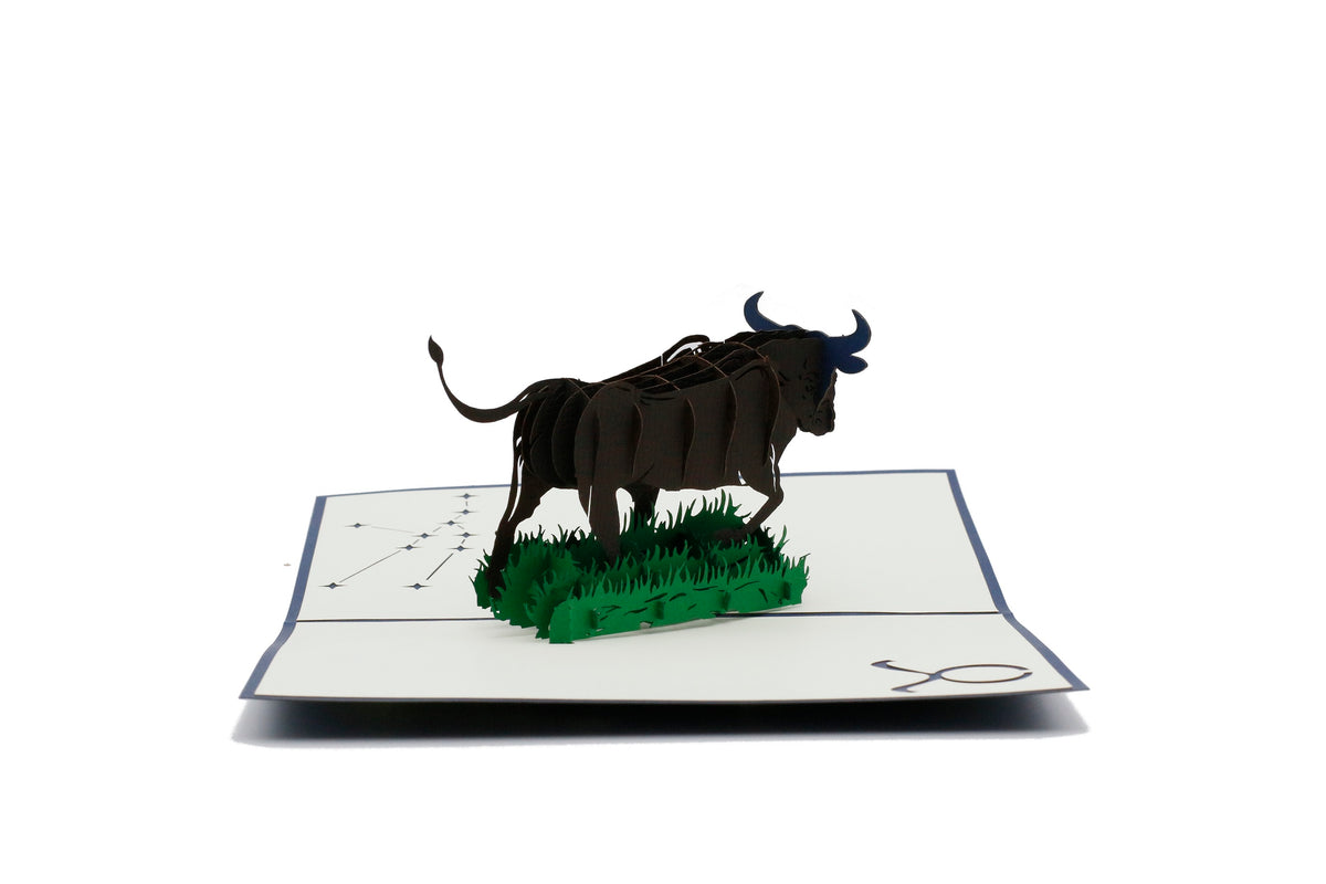 Aufgeklappte Pop-up-Karte mit dunkelbraunem Stier auf grünem Gras, frontal fotografiert.