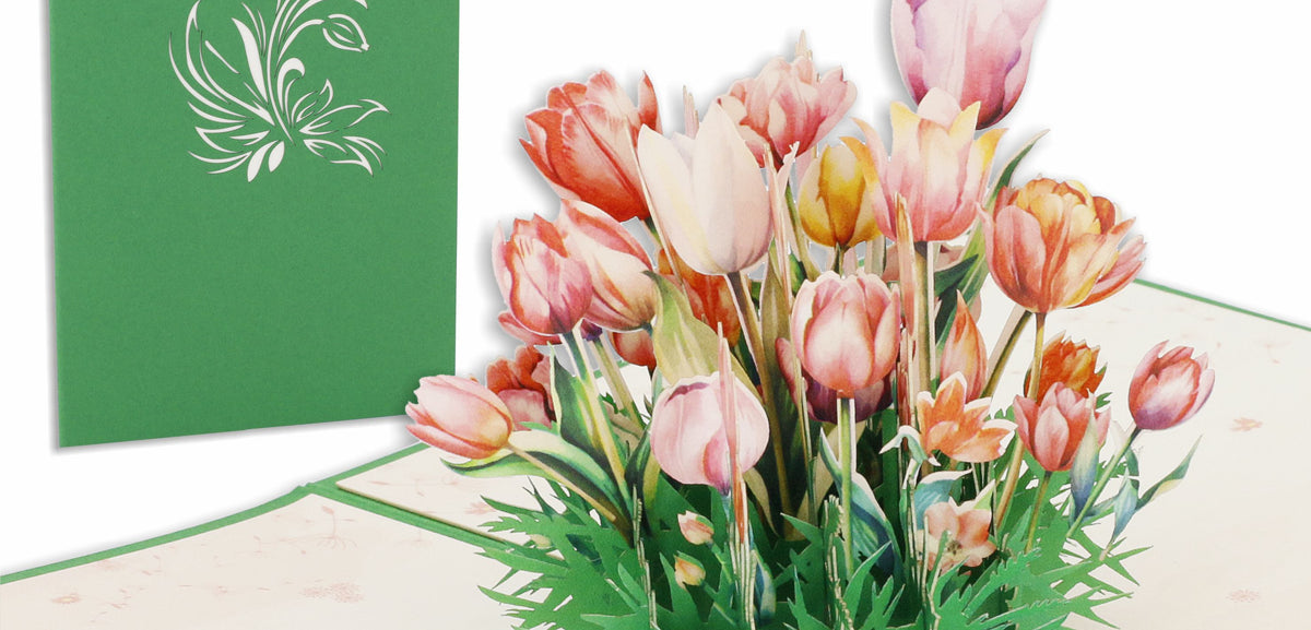 Aufgeklappte Pop-up-Karte mit einem bunten Tulpenstrauß, daneben die grüne Kartenvorderseite mit Tulpen-Scherenschnitt.