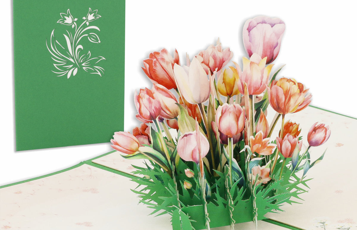 Aufgeklappte Pop-up-Karte mit einem bunten Tulpenstrauß, daneben die grüne Kartenvorderseite mit Tulpen-Scherenschnitt.
