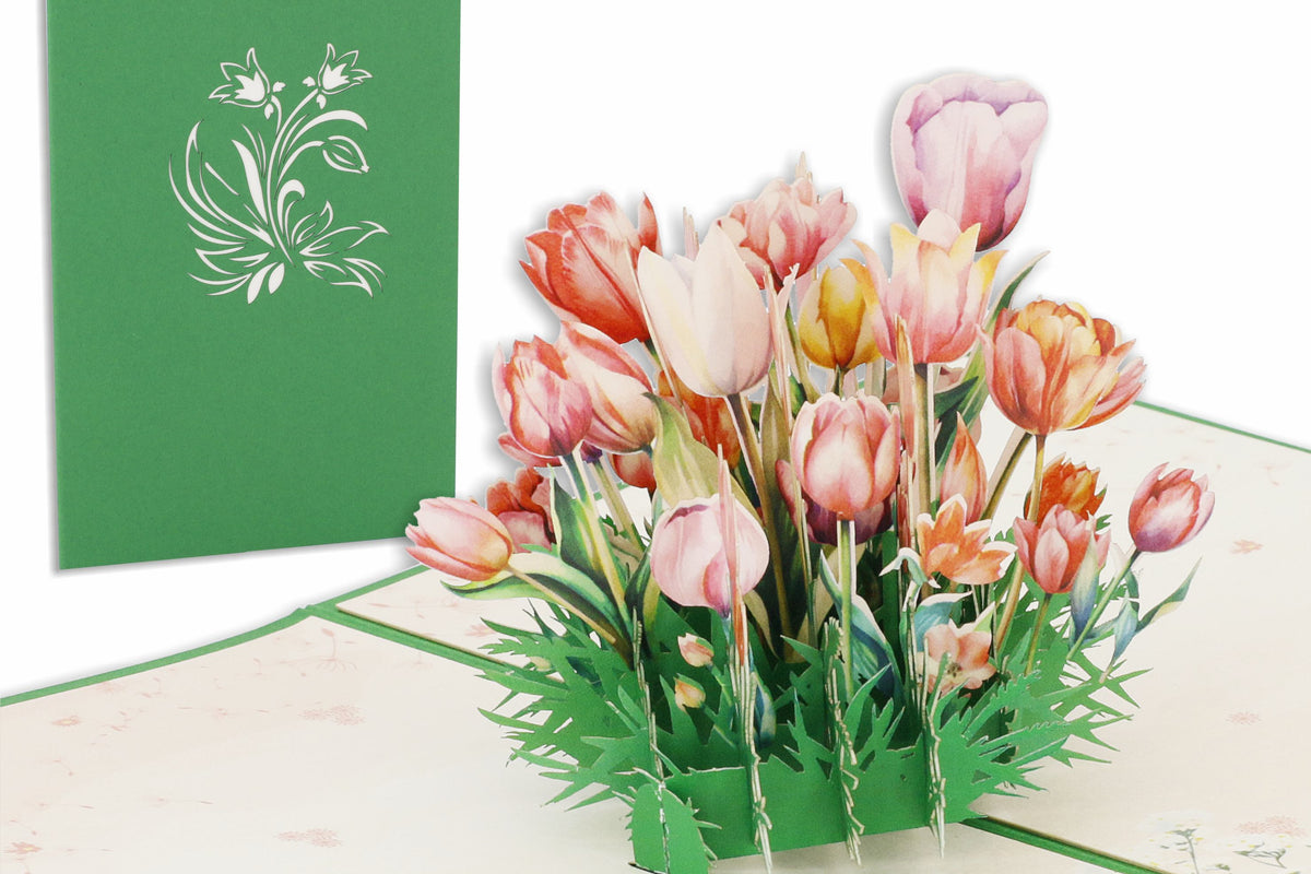 Aufgeklappte Pop-up-Karte mit einem bunten Tulpenstrauß, daneben die grüne Kartenvorderseite mit Tulpen-Scherenschnitt.