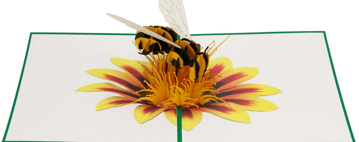 Aufgeklappte Pop-up-Karte mit grünem Rand: eine Biene sitzt auf einer gelb-roten Blüte.