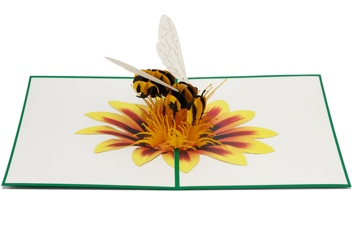 Aufgeklappte Pop-up-Karte mit grünem Rand: eine Biene sitzt auf einer gelb-roten Blüte.