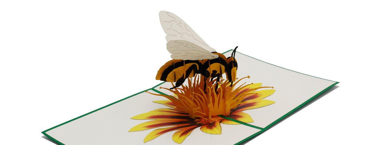Aufgeklappte Pop-up-Karte mit Biene auf einer Blüte, schräg von der Seite fotografiert.