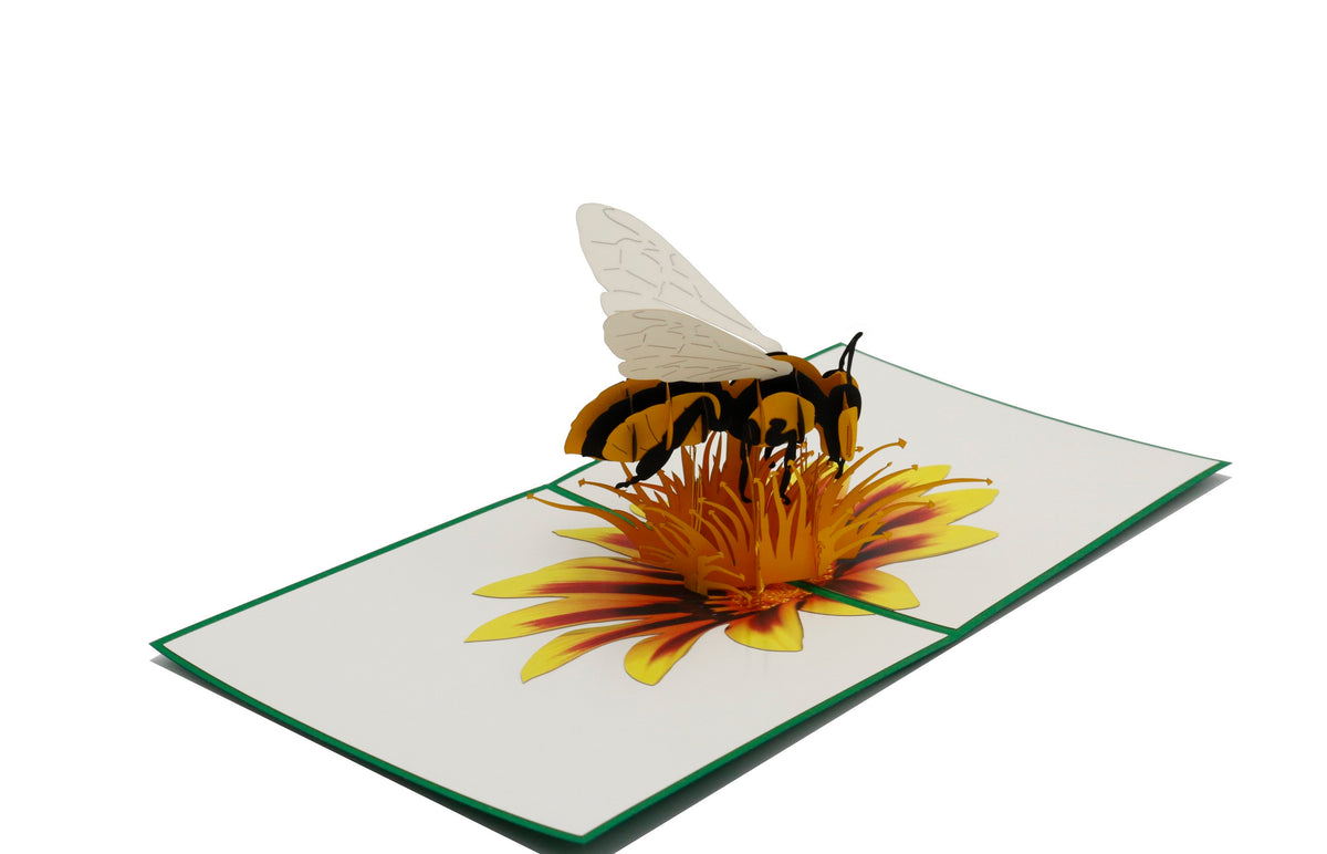 Aufgeklappte Pop-up-Karte mit Biene auf einer Blüte, schräg von der Seite fotografiert.