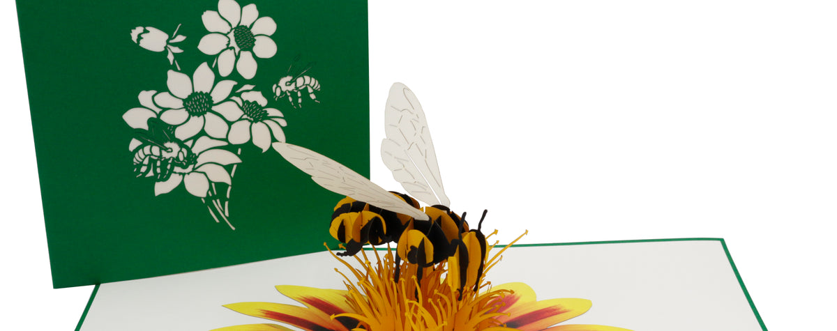 Aufgeklappte Pop-up-Karte mit Biene und Blüte, dahinter die grüne Kartenvorderseite mit Blüten-Scherenschnitt.