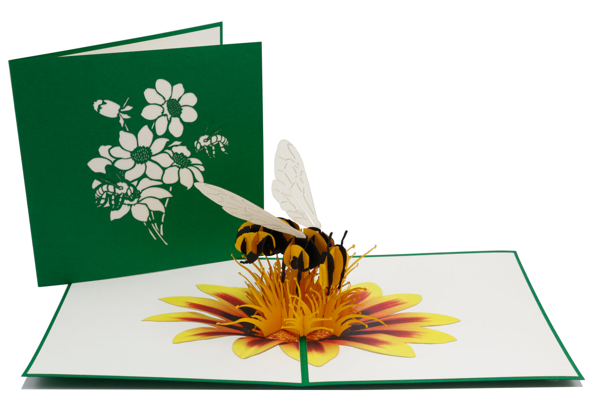 Aufgeklappte Pop-up-Karte mit Biene und Blüte, dahinter die grüne Kartenvorderseite mit Blüten-Scherenschnitt.