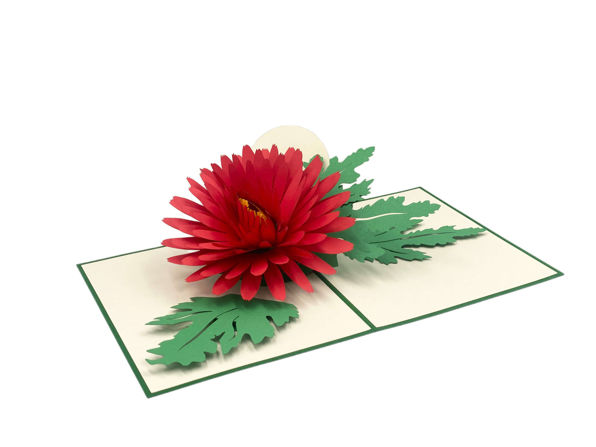 Aufgeklappte Pop-up-Karte mit grünem Rand und einer großen roten Chrysanthemenblüte mit grünen Blättern.
