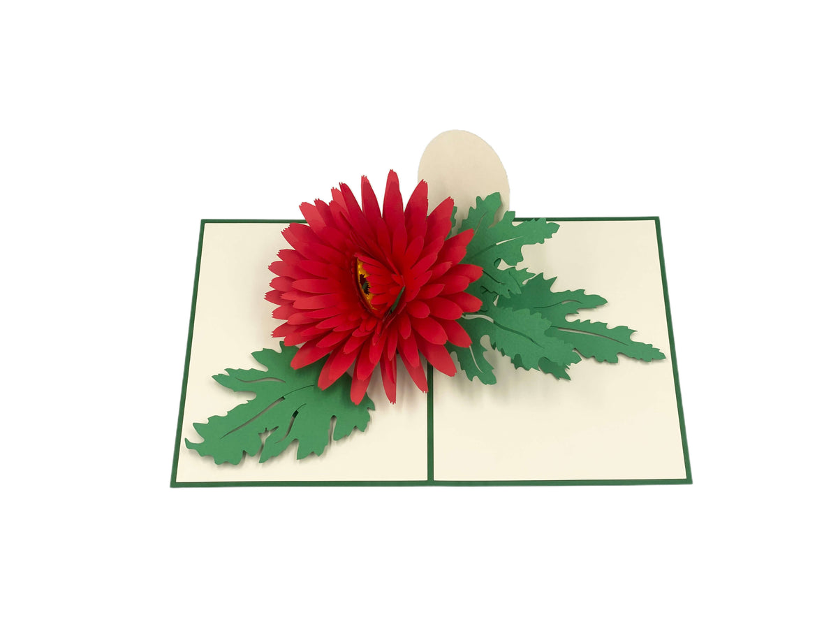 Aufgeklappte Pop-up-Karte mit einer roten Chrysantheme aus Papier, frontal fotografiert.