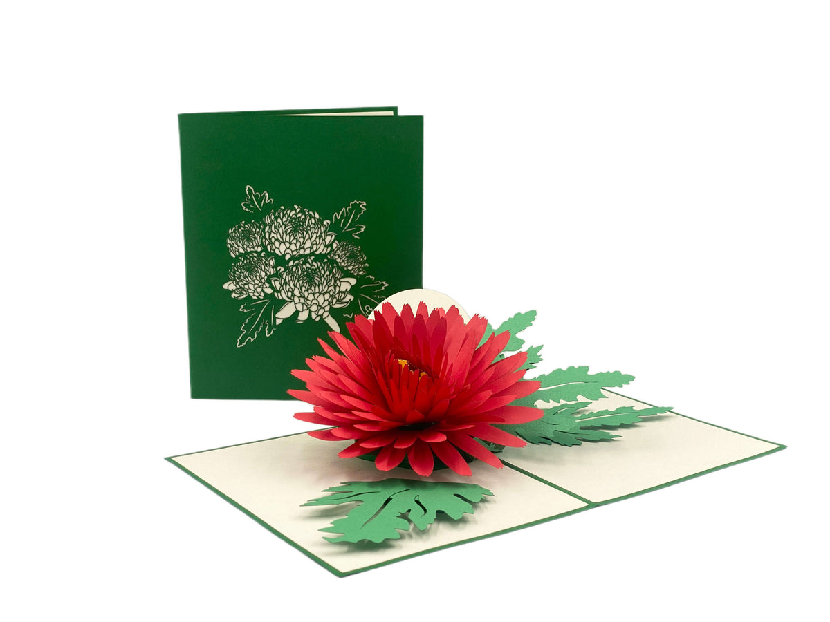 Aufgeklappte Pop-up-Karte mit roter Chrysantheme, daneben die grüne Kartenvorderseite mit Blüten-Scherenschnitt.