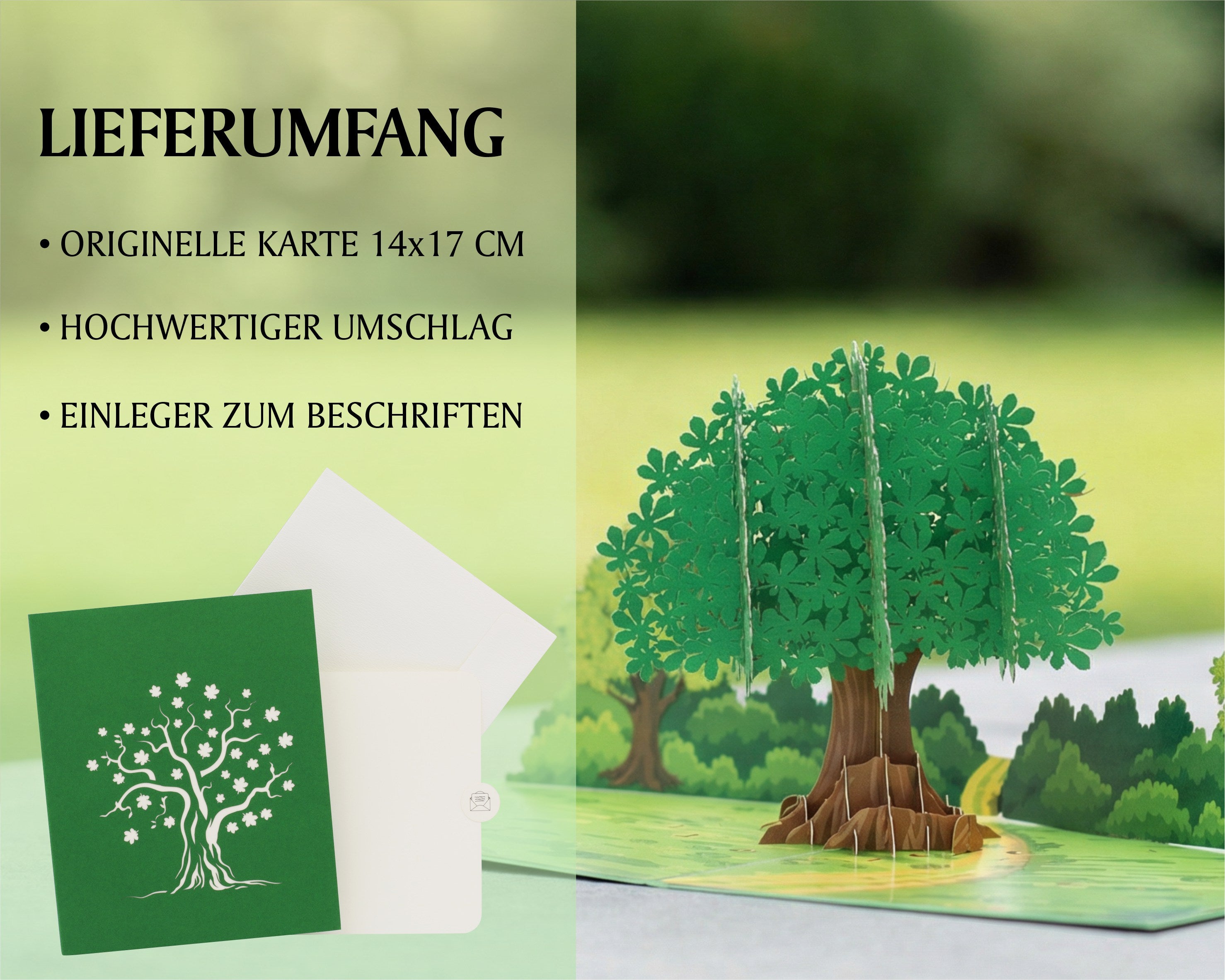 Lieferumfang der Baum Pop-up-Karte: originelle Karte 14x17 cm, hochwertiger Umschlag und Einleger zum Beschriften.