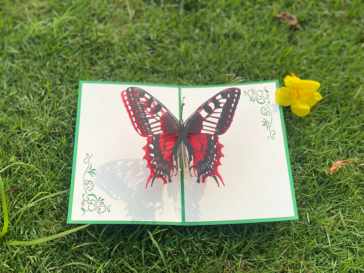 Pop up karte mit rot und schwarzem Schmetterling auf einer grünen Wiese