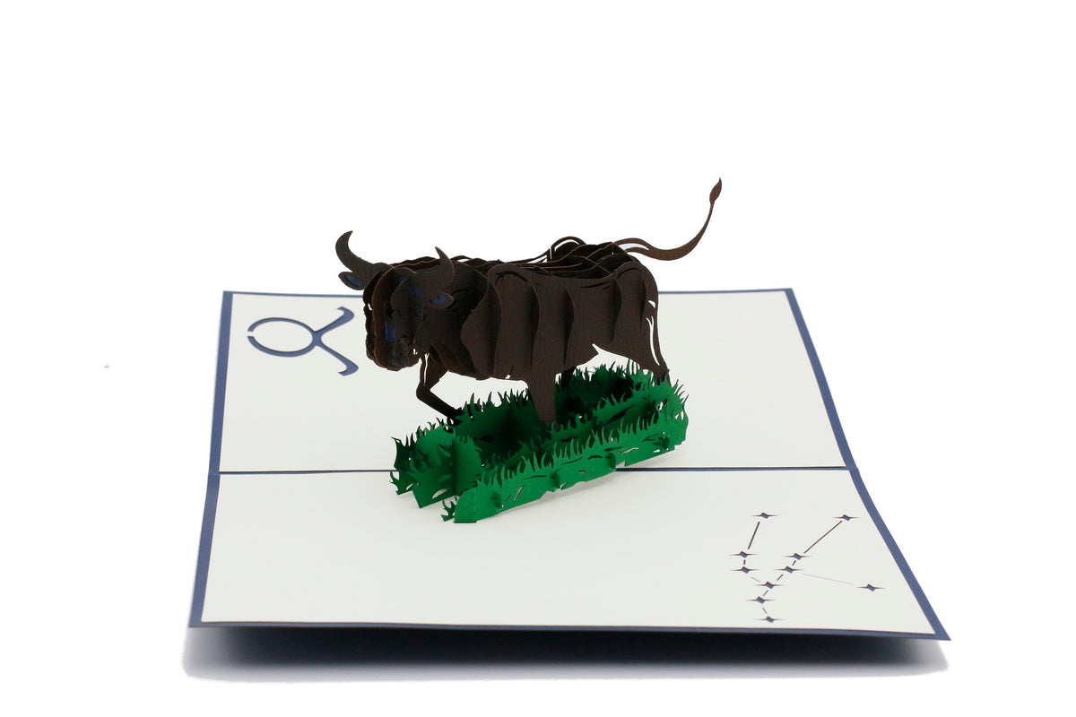 Aufgeklappte Pop-up-Karte mit dunkelblauem Rand und einem dunkelbraunen Stier auf grünem Gras, daneben Symbol und Sternbild Stier.