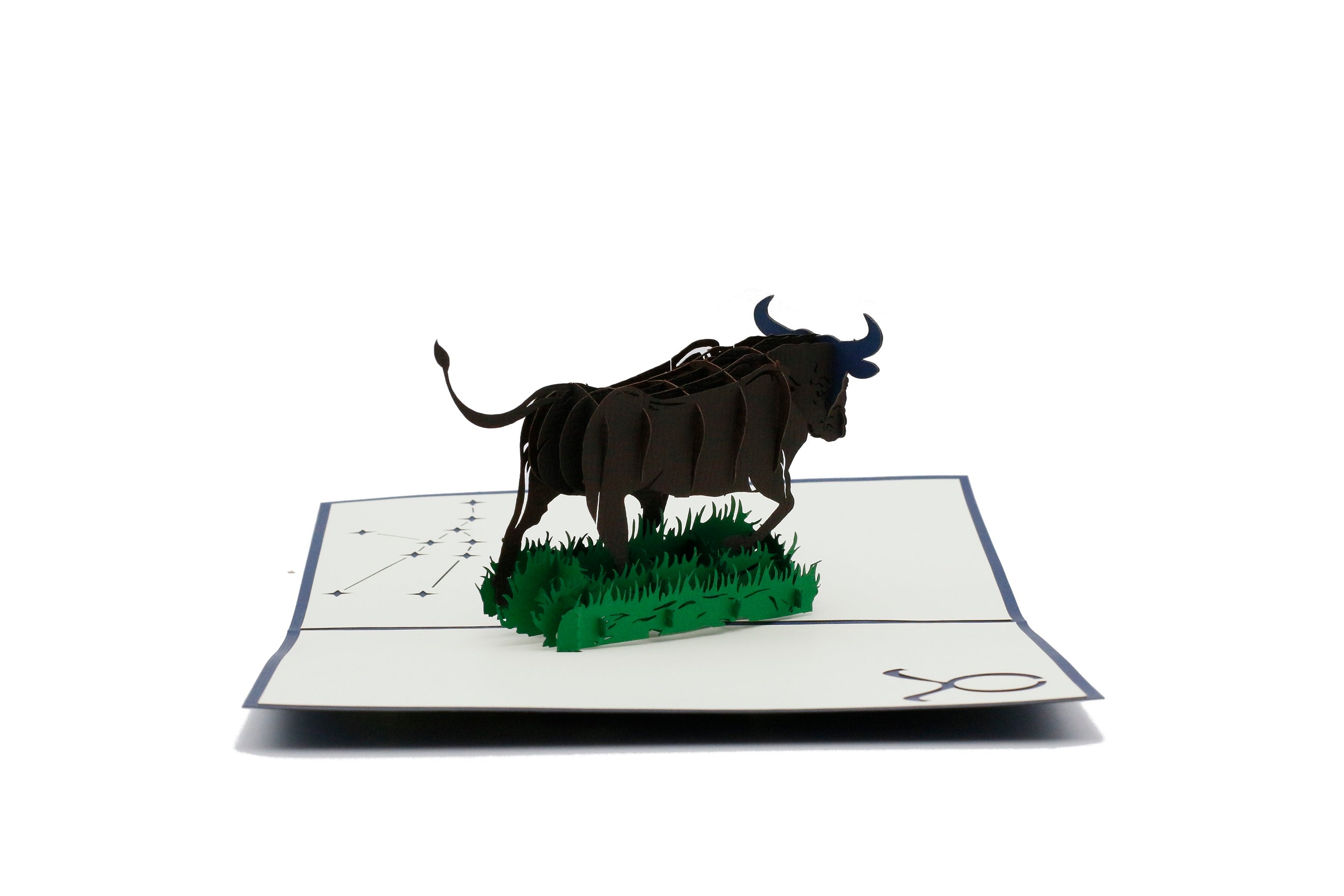 Aufgeklappte Pop-up-Karte mit dunkelbraunem Stier auf grünem Gras, frontal fotografiert.