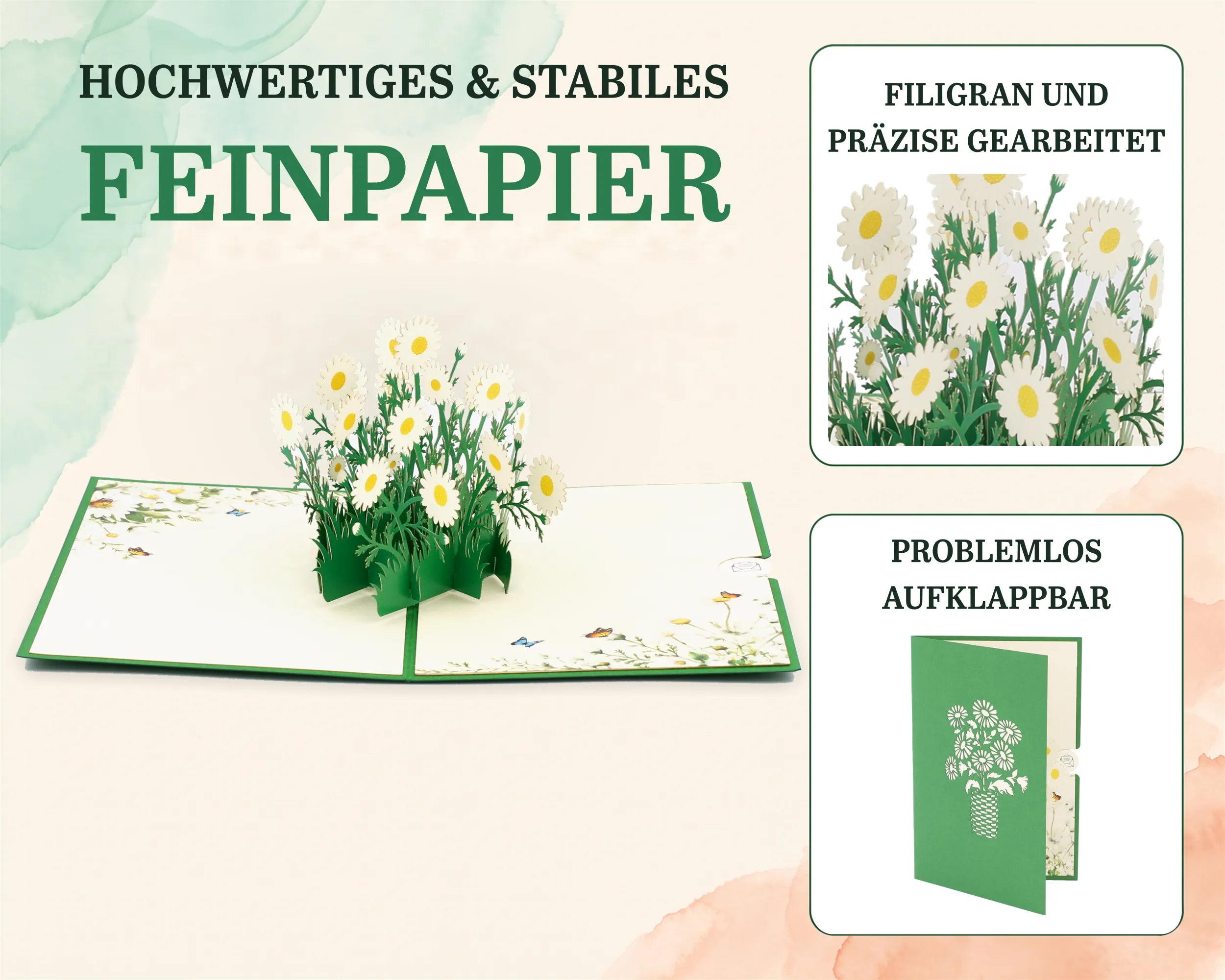 Gänseblümchen Pop-up Karte aus stabilem Feinpapier: filigrane weiße Papierblüten in Nahaufnahme und grüne Vorderseite, die sich leicht aufklappen lässt