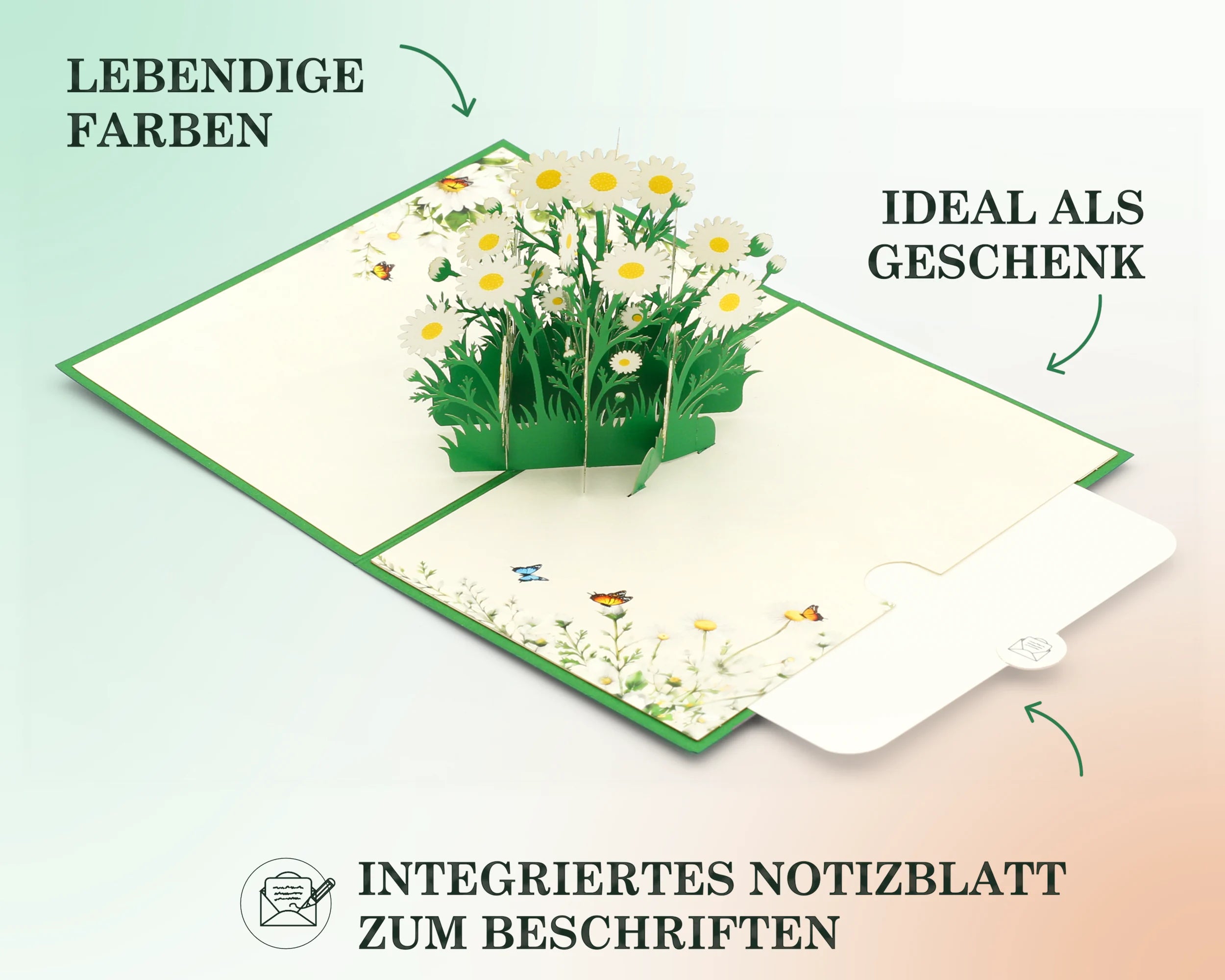 Aufgeklappte Gänseblümchen Karte mit grünem Rand, bunten Schmetterlingen und herausziehbarem Notizblatt zum Beschriften – ideal als Geschenk