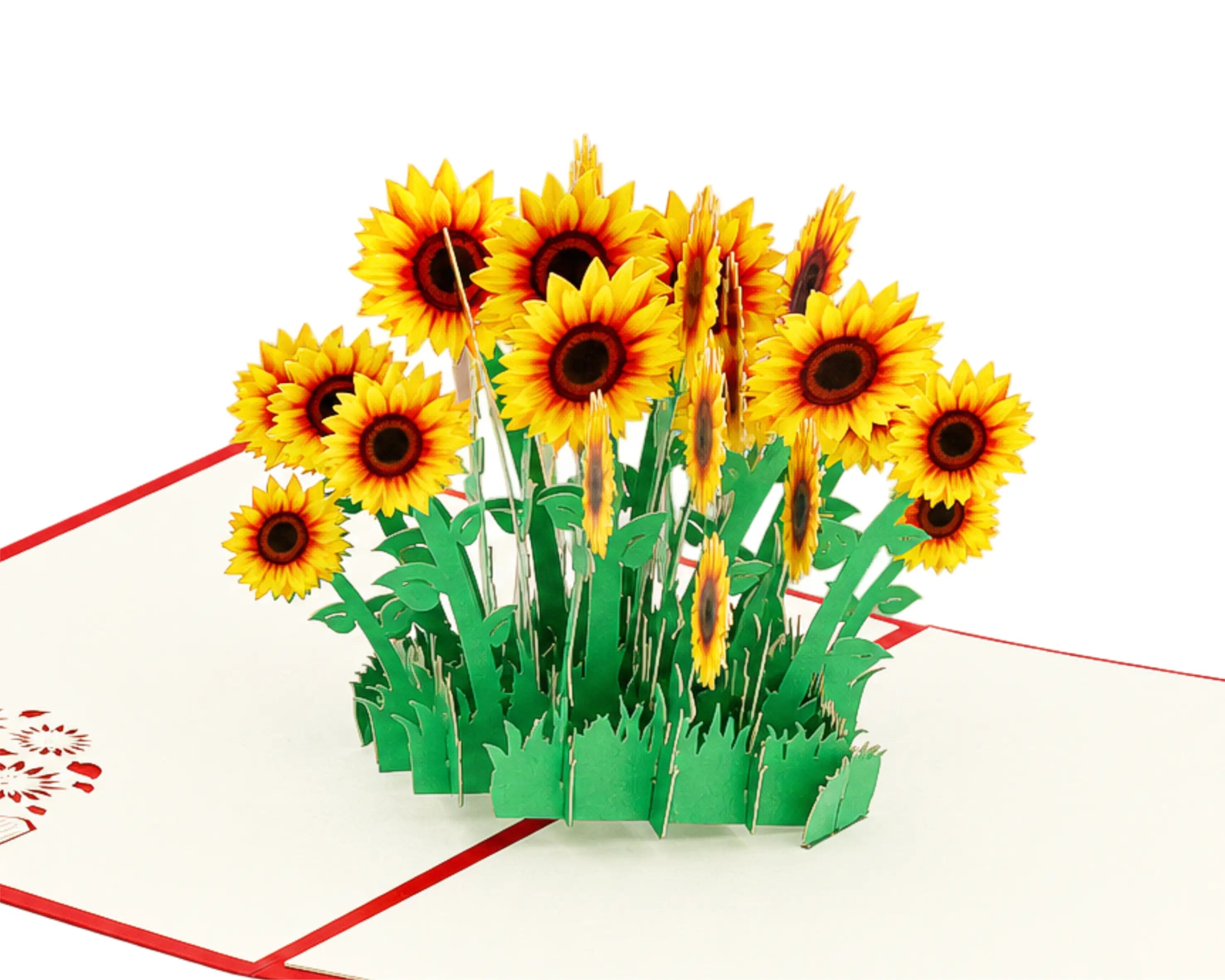 Aufgeklappte 3D Pop-up Karte mit üppigem Strauß gelber Sonnenblumen und grünen Stielen auf weißer Karte mit rotem Rand