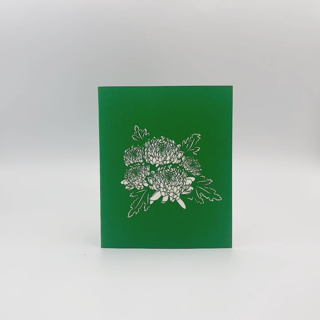 video pop up karte chrysantheme in rot