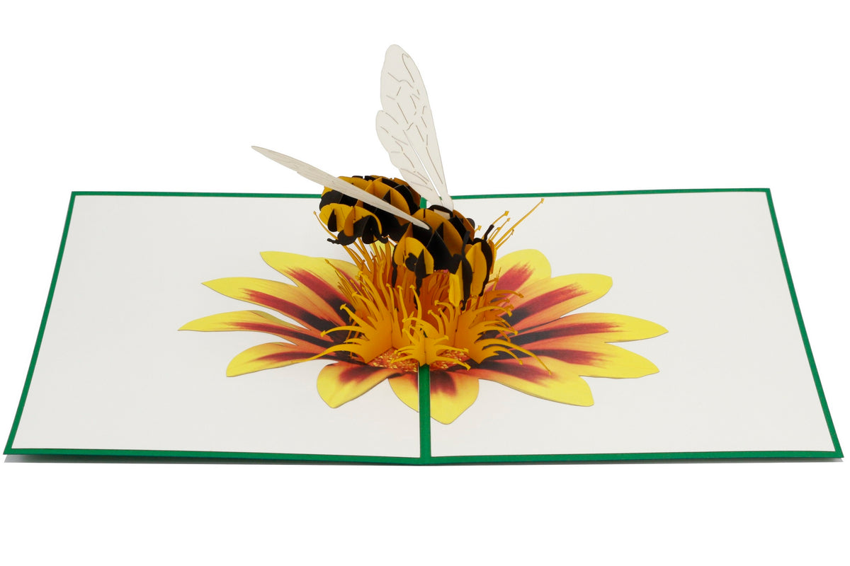Aufgeklappte Pop-up-Karte mit grünem Rand: eine Biene sitzt auf einer gelb-roten Blüte.