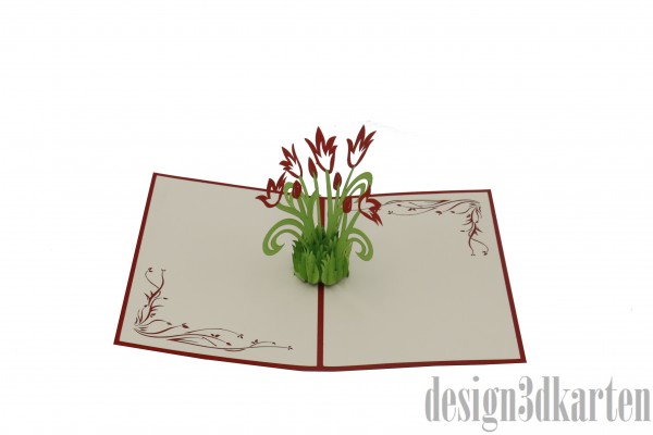 Tulpen von design3dkarten